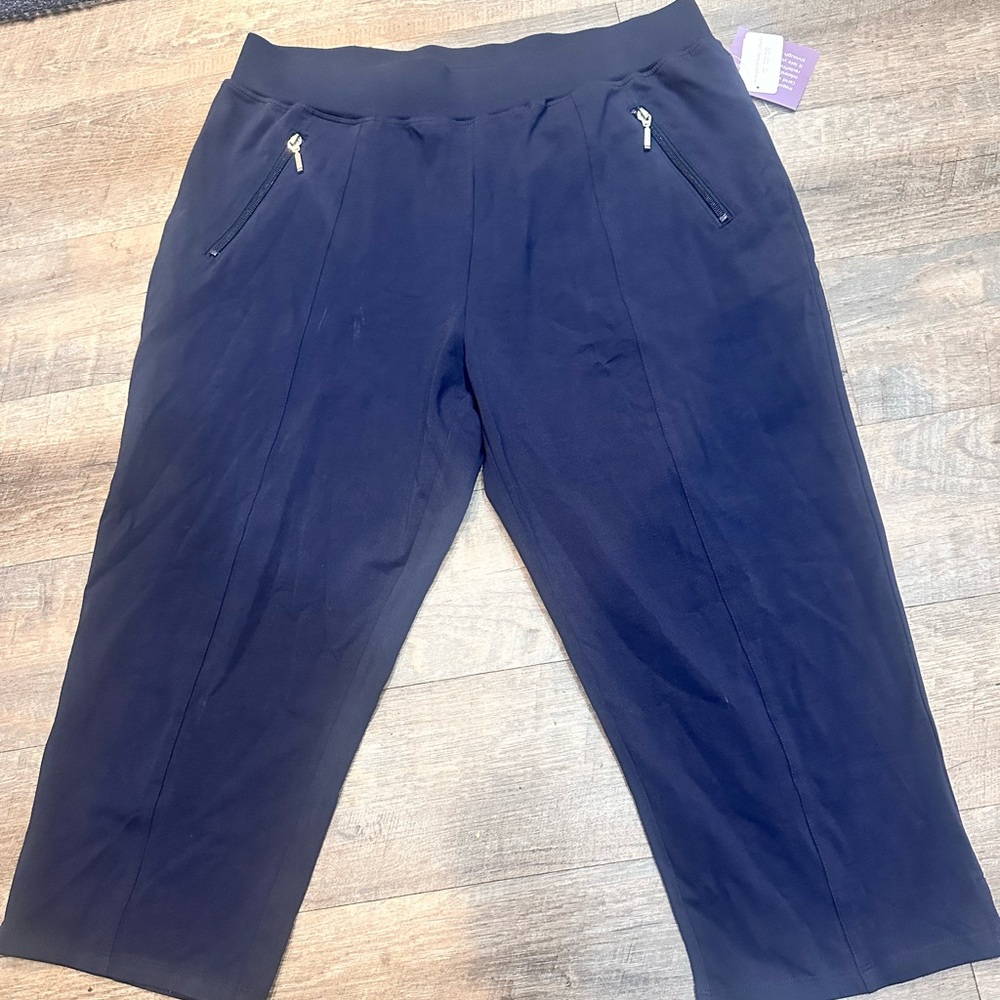 Christopher & Banks Dark Blue Cropped Pants
